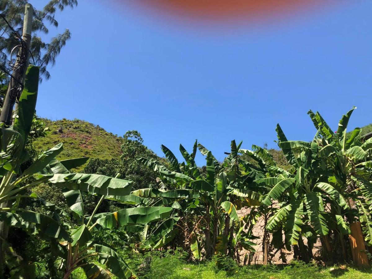 Mirella Villa Anse Volbert Village  Exterior photo